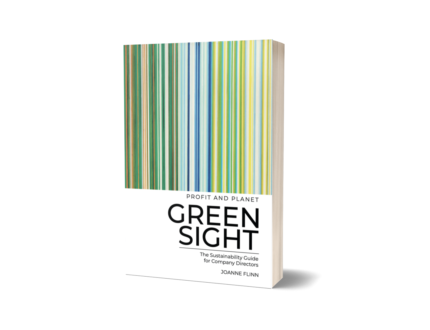 GreenSight — The Sustainability Guide for Company Directors by Joanne Flinn
