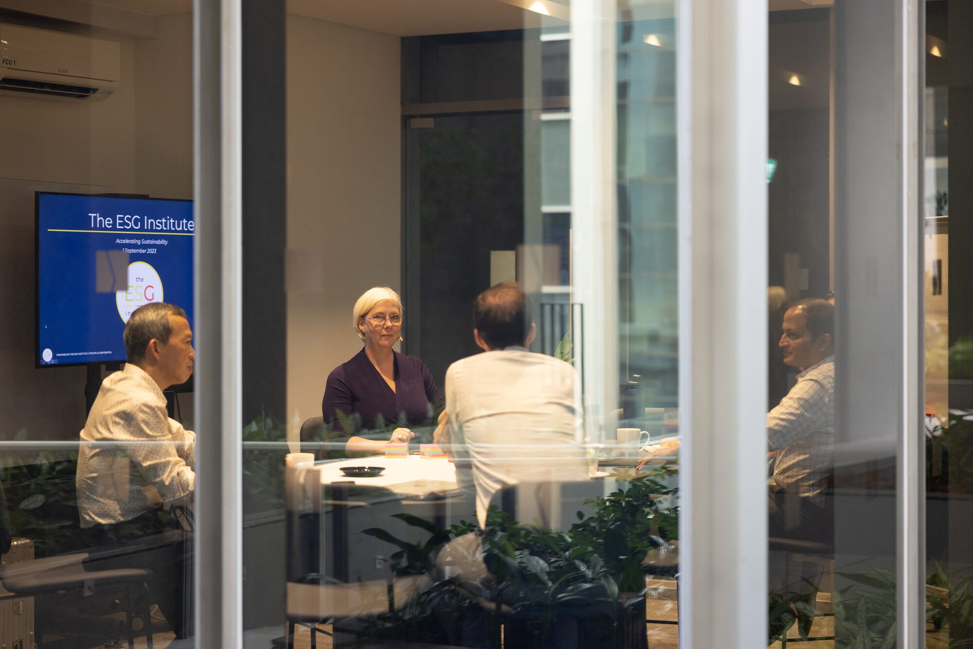 Joanne Flinn facilitating a ClearSight™ session with senior leaders — taken at a real ESG Institute working session