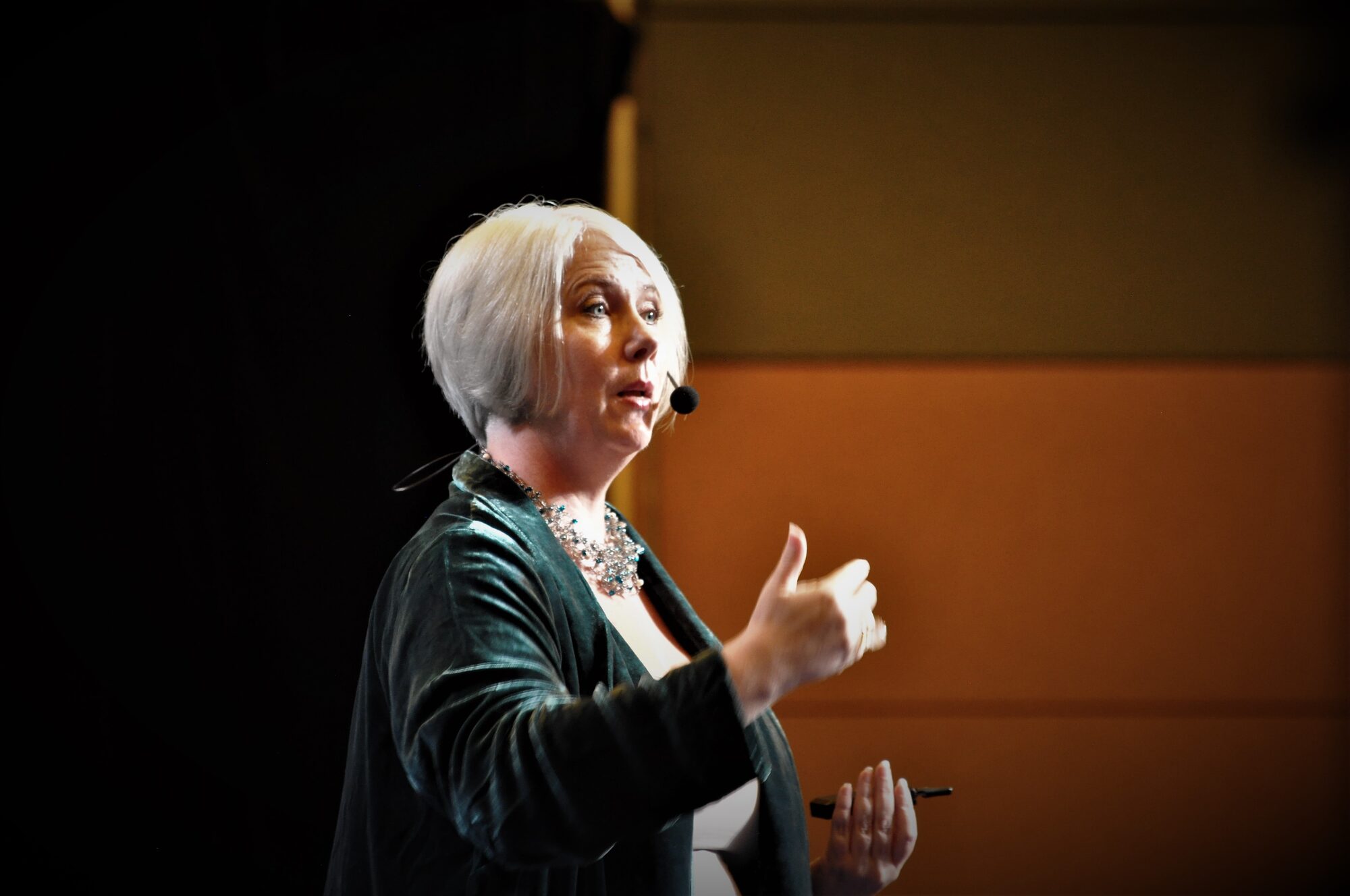 Joanne Flinn, ESG Institute founder, mid-keynote on transition risk and long-term value leadership